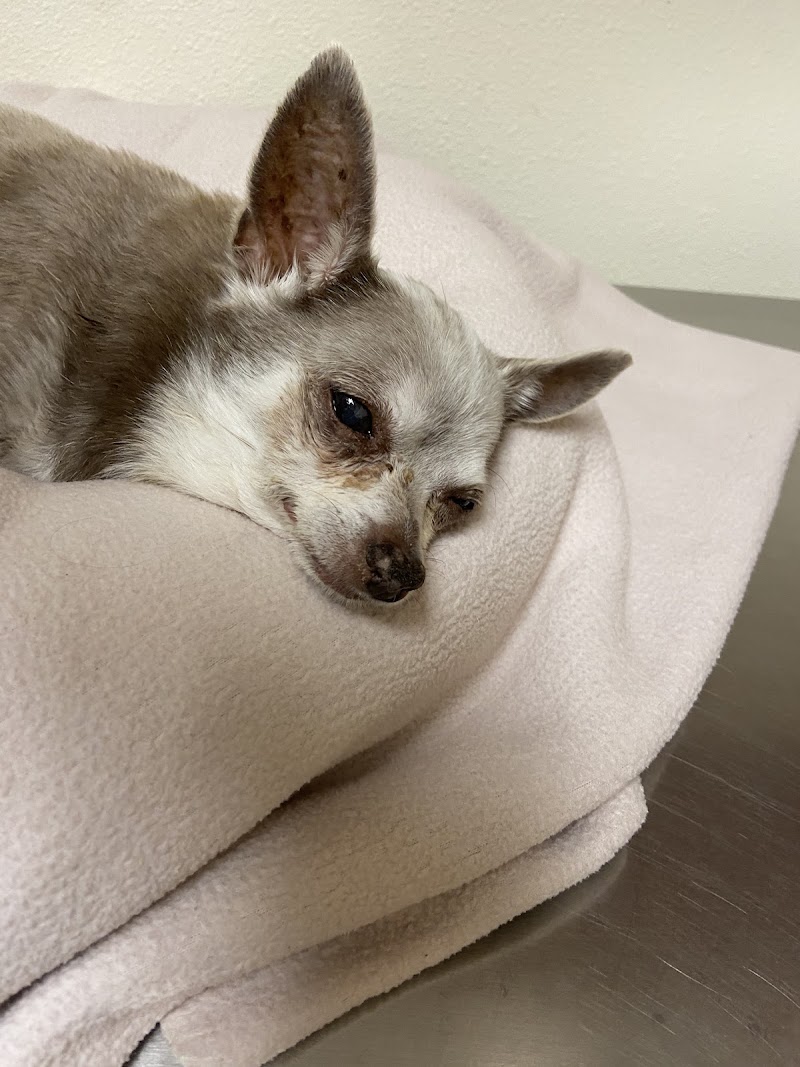 North Star Animal Hospital