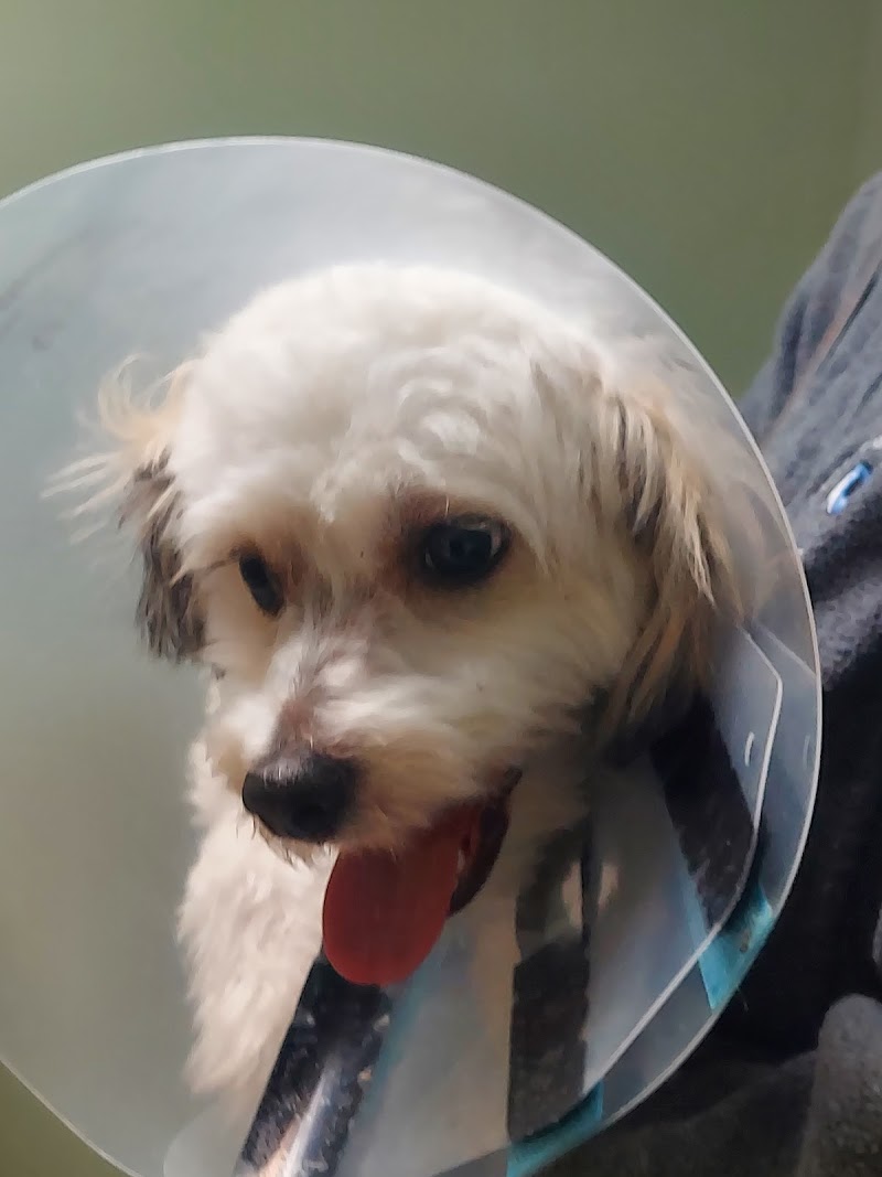 Mass-RI Veterinary ER