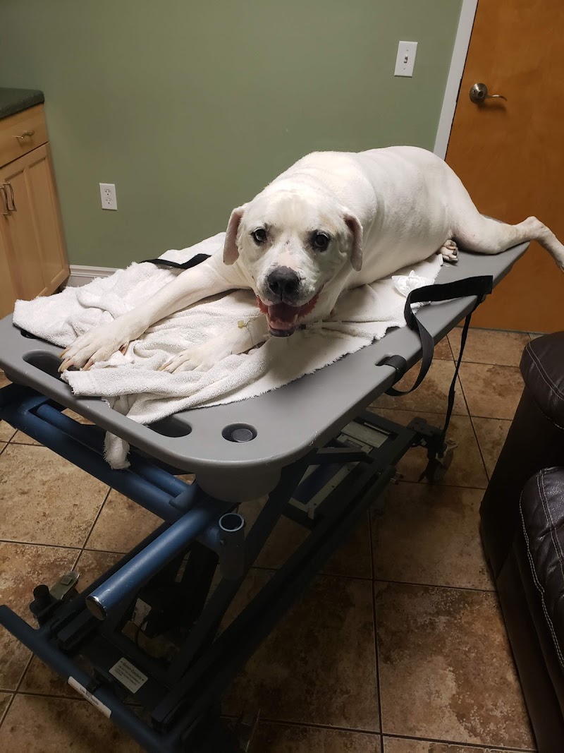 Mass-RI Veterinary ER - Swansea