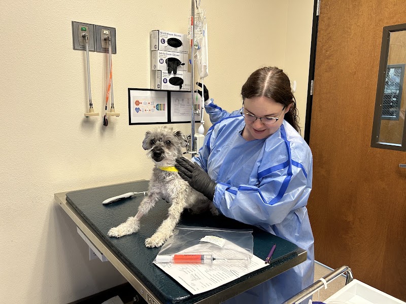 Las Vegas Veterinary Specialty Center