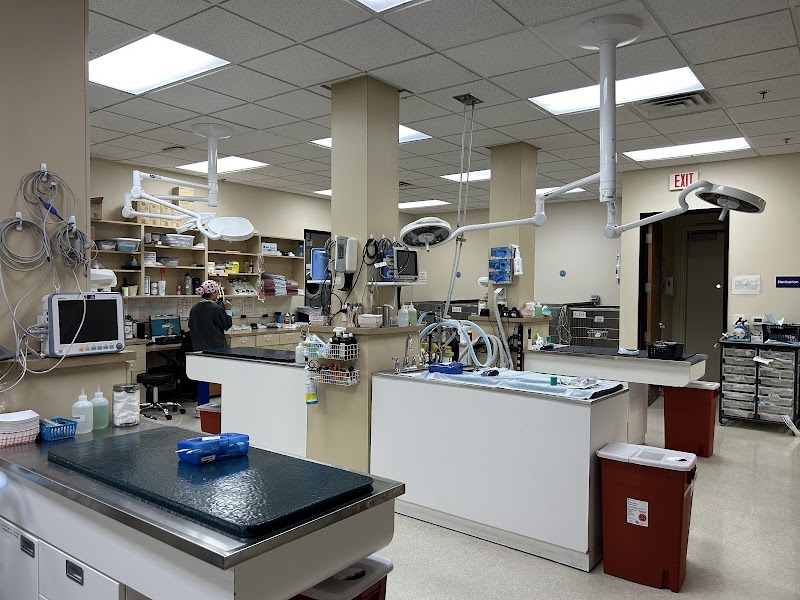 Las Vegas Veterinary Specialty Center