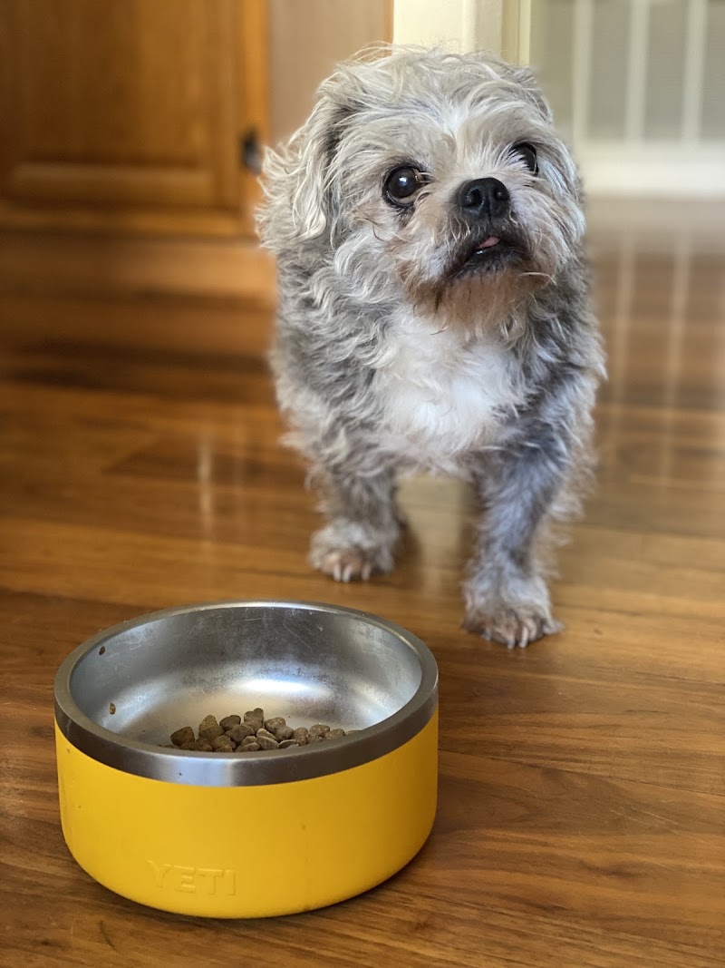 Las Vegas Veterinary Specialty Center