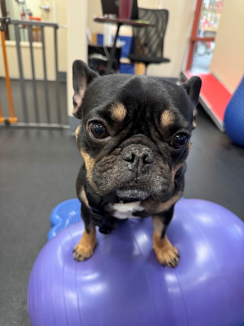 Las Vegas Veterinary Specialty Center
