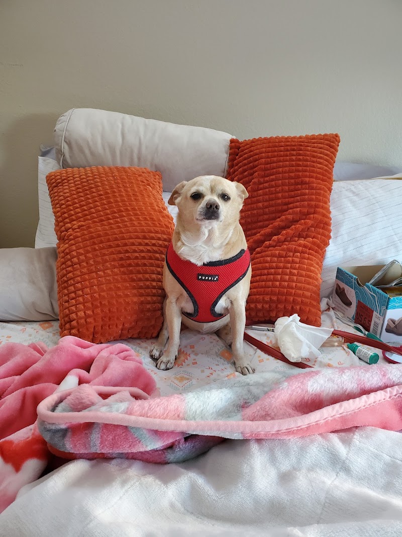 Westborough Pet Hospital