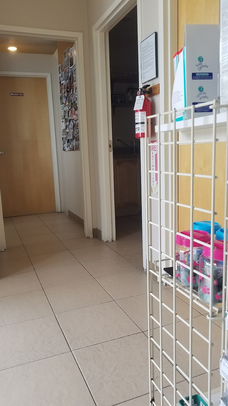 Westborough Pet Hospital