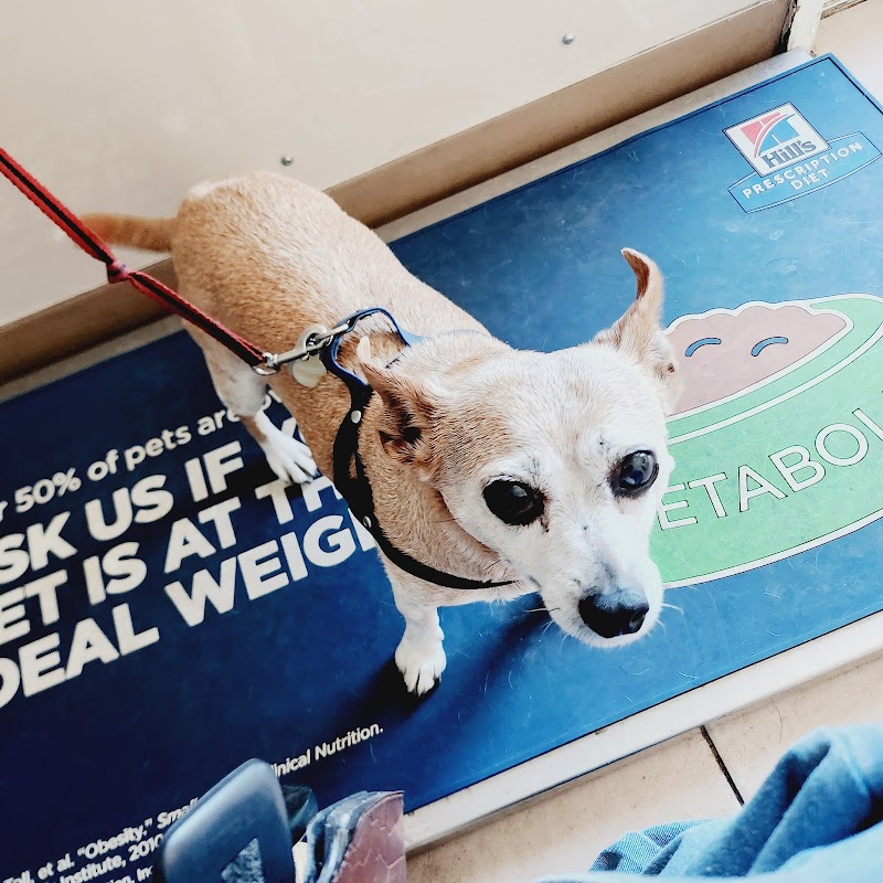 Westborough Pet Hospital