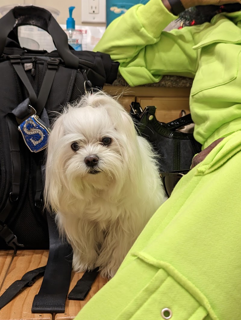 Westborough Pet Hospital