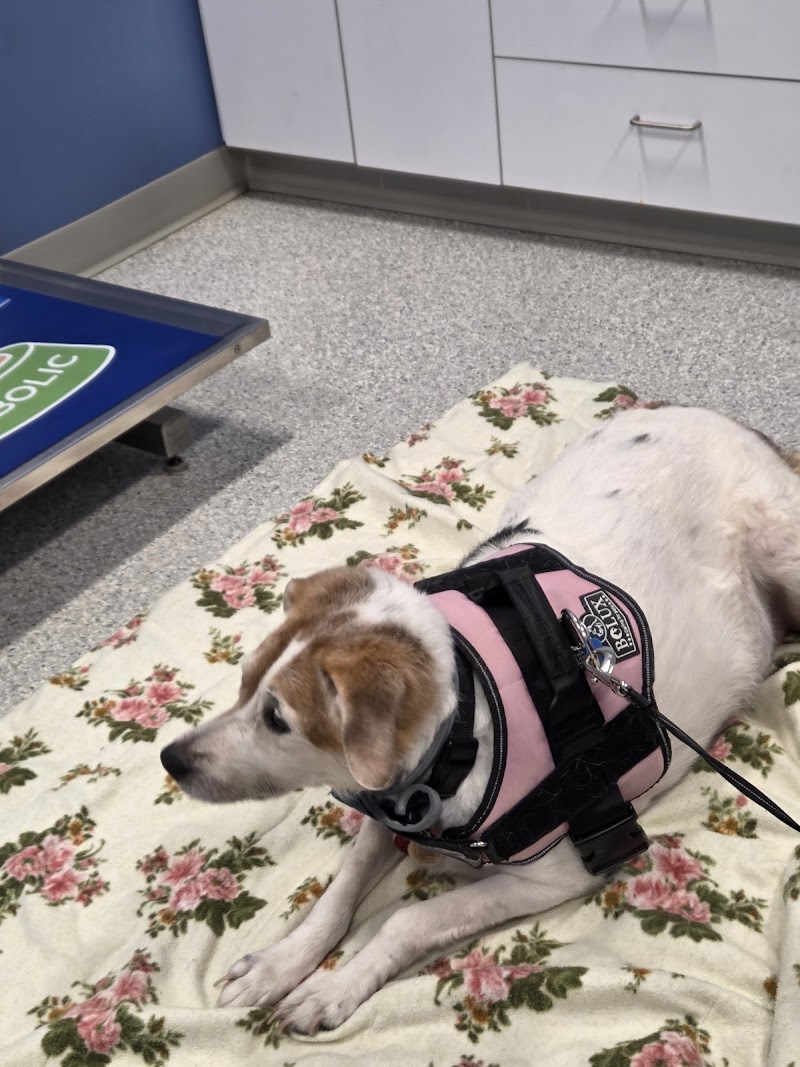 Elkins Park Veterinary Hospital