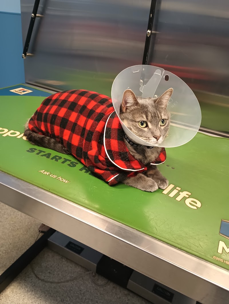 Elkins Park Veterinary Hospital