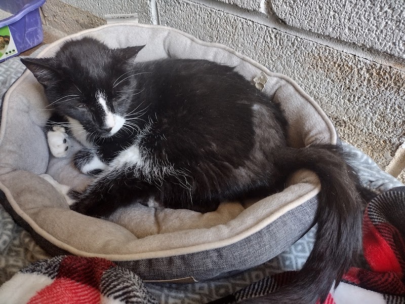 Elkins Park Veterinary Hospital