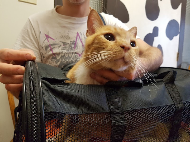 L.A. Pet Clinic