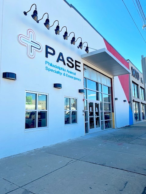 Philadelphia Animal Specialty & Emergency (PASE) - Philadelphia