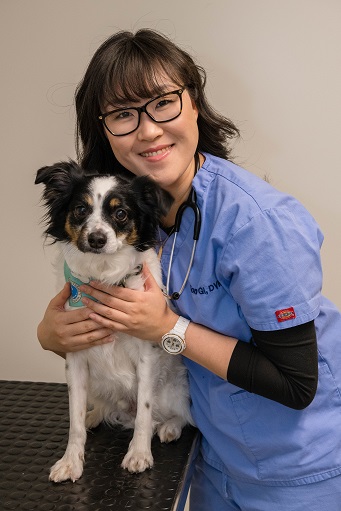 West Village Veterinary Hospital