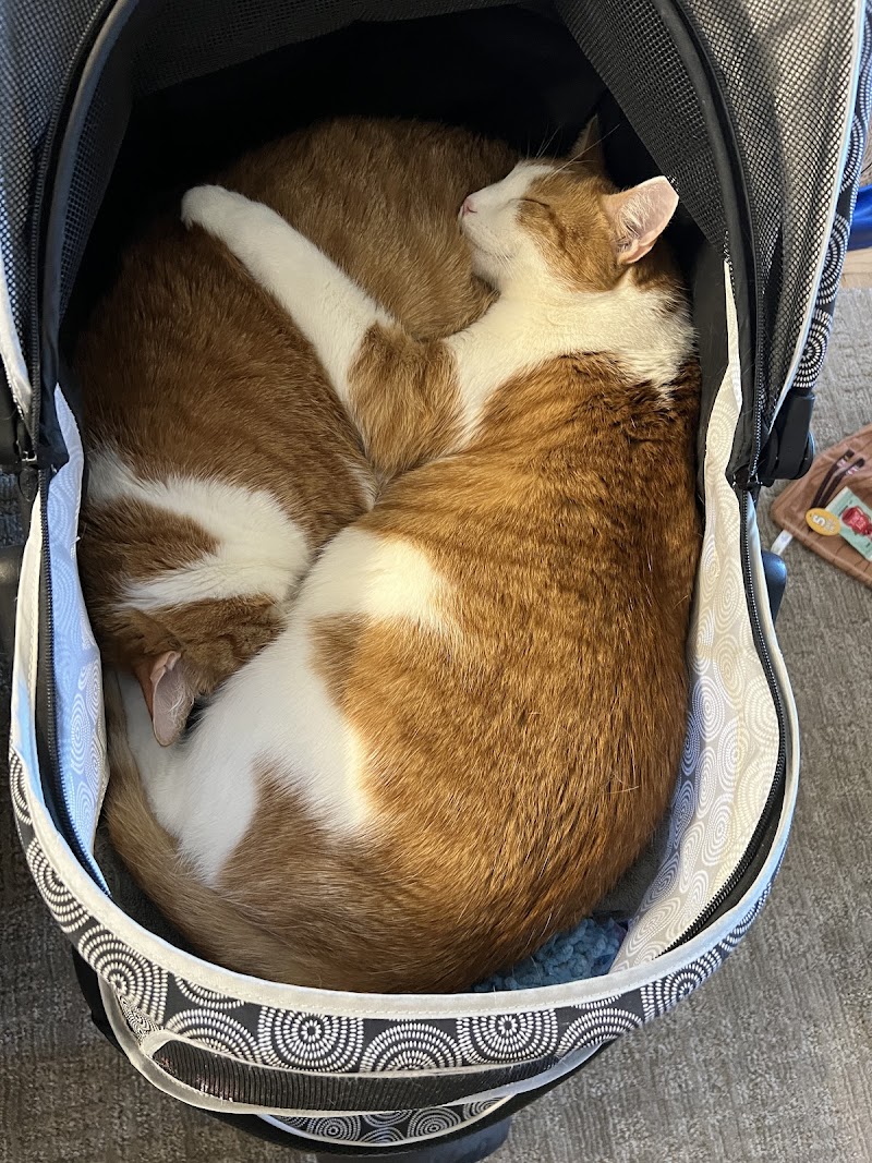 West Village Veterinary Hospital