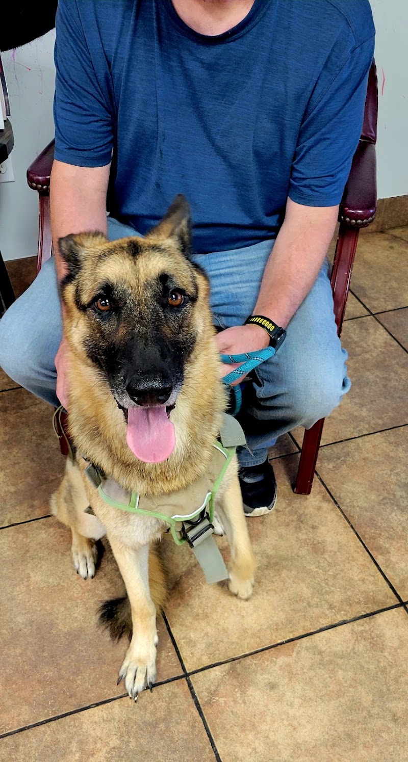 Central Texas Animal Hospital
