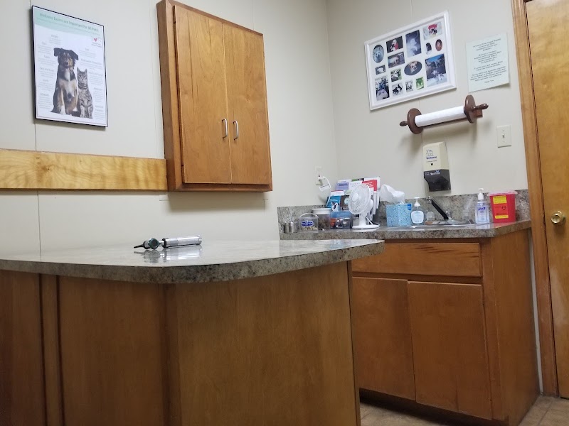 Central Texas Animal Hospital