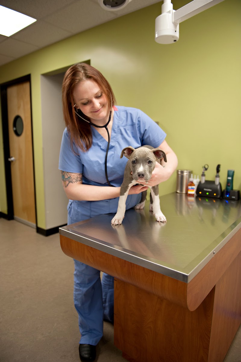 Heartfelt Veterinary Hospital