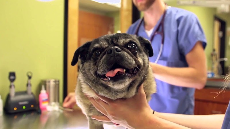 Heartfelt Veterinary Hospital