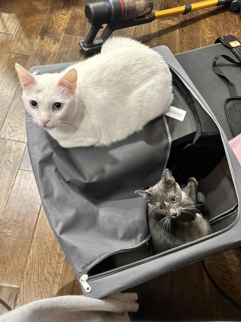 ReadiVet Dallas, Mobile Vet Services