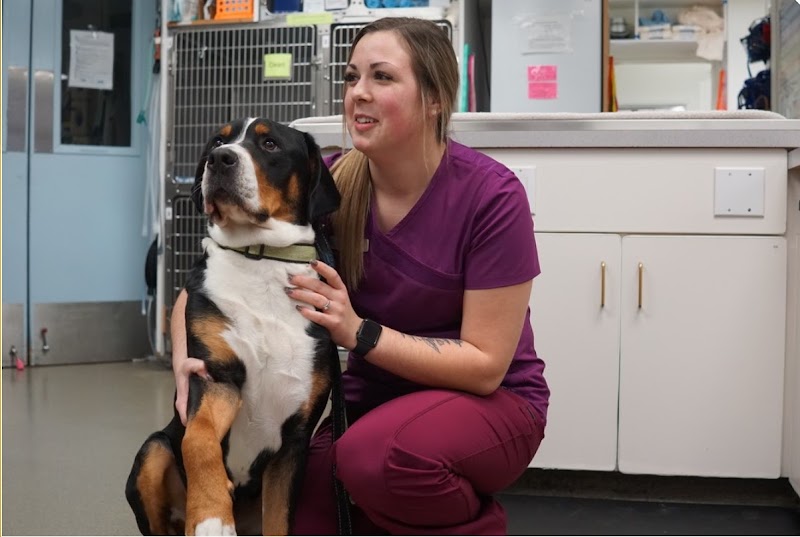 Emergency Veterinary Hospital - Springfield
