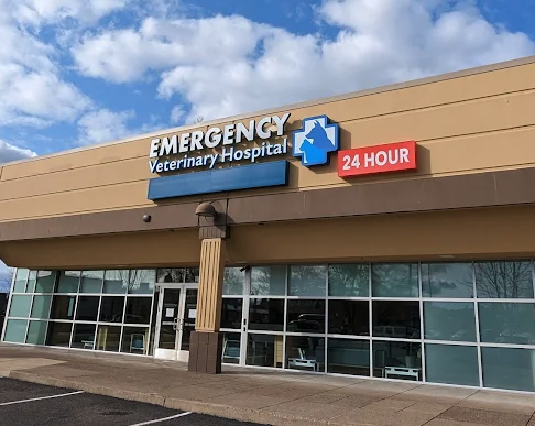Emergency Veterinary Hospital