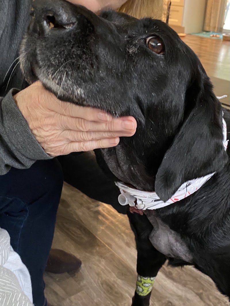 VCA Southeast Portland Animal Hospital