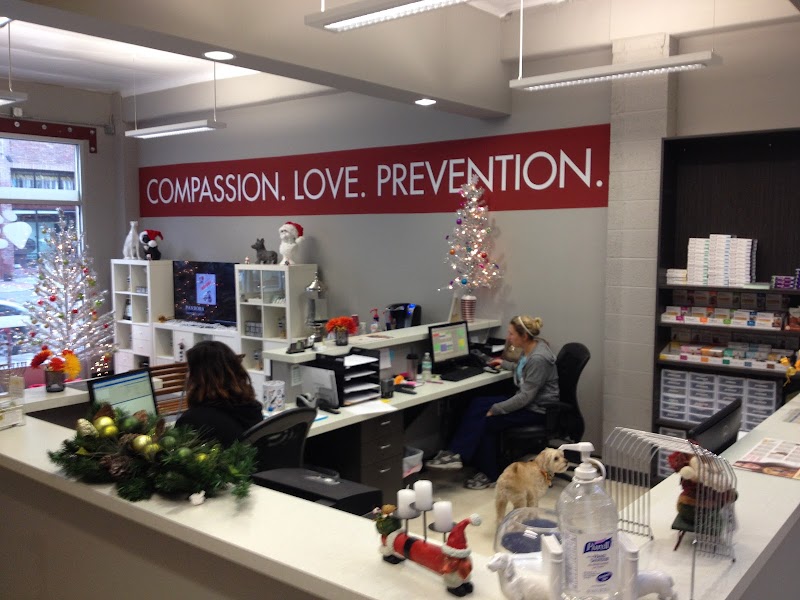 VCA Market Street Animal Hospital