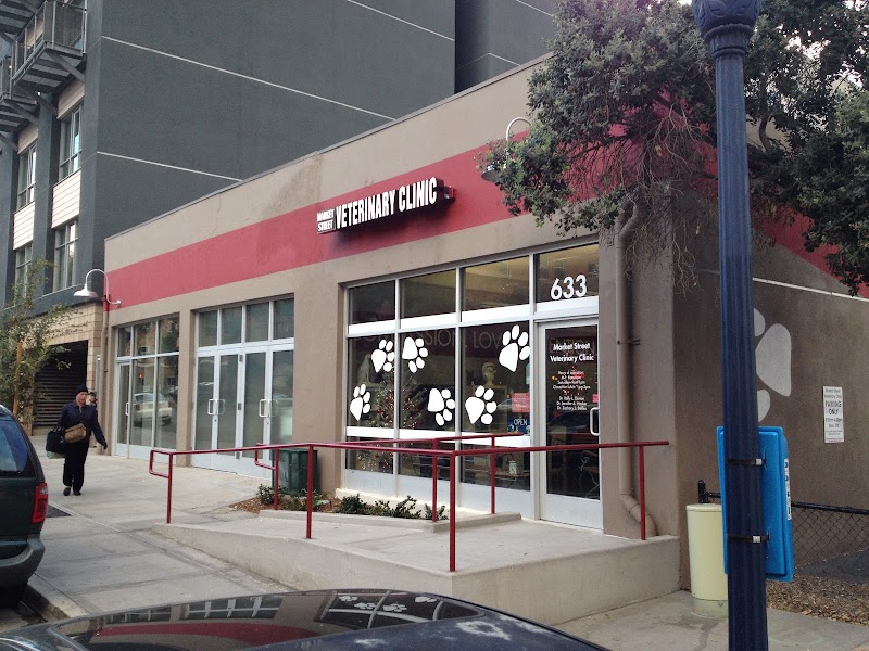 VCA Market Street Animal Hospital