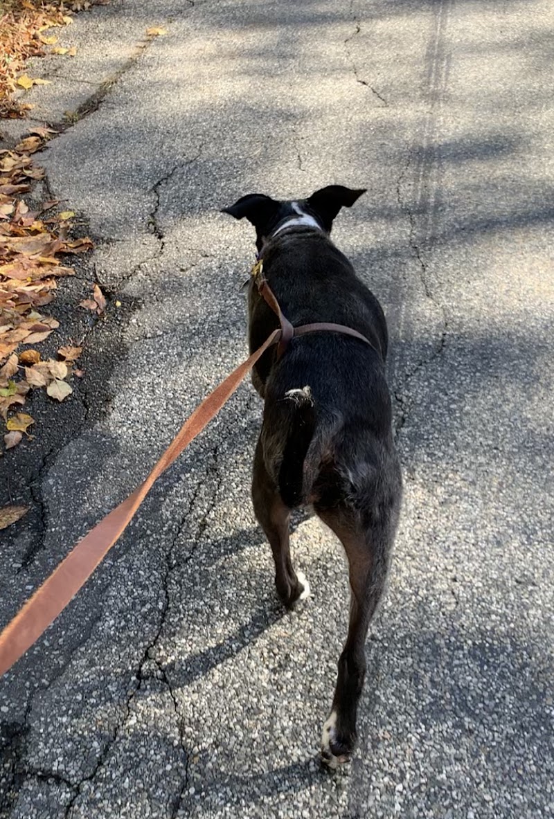 ProFormance Canine, Inc.