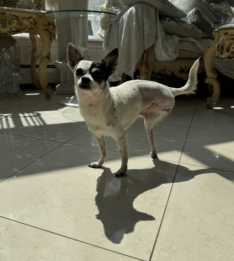 ProFormance Canine, Inc.