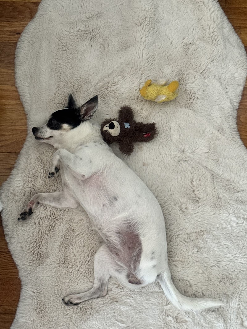 ProFormance Canine, Inc.