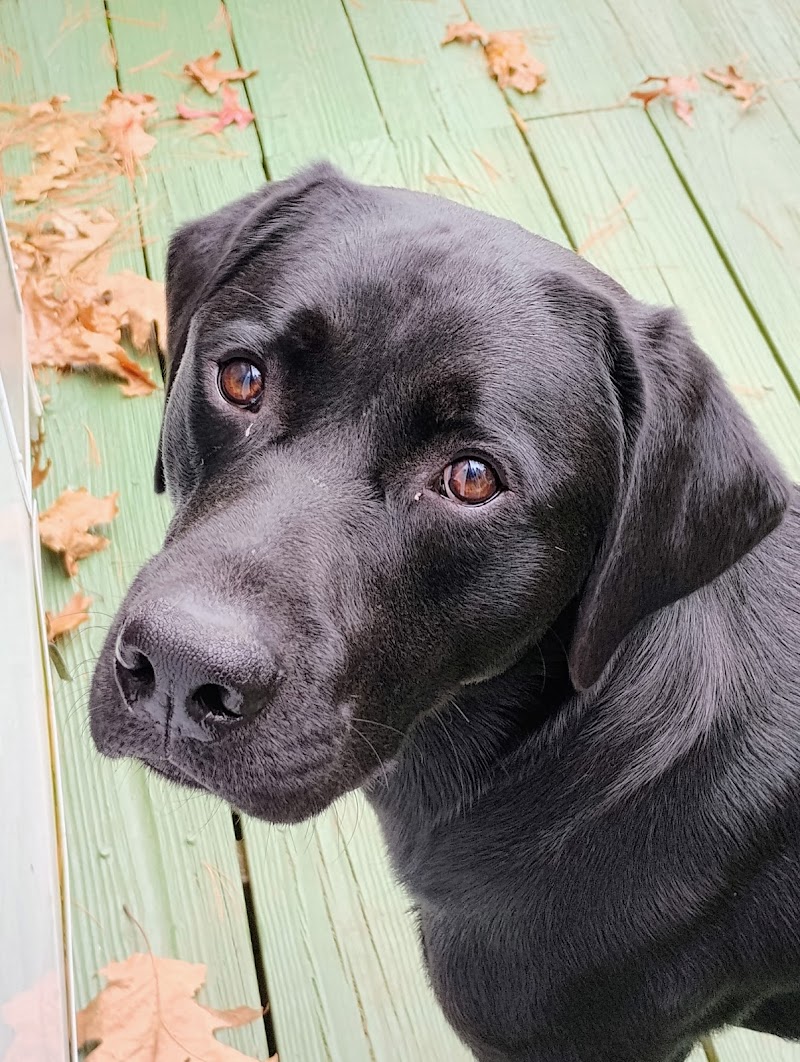 ProFormance Canine, Inc.