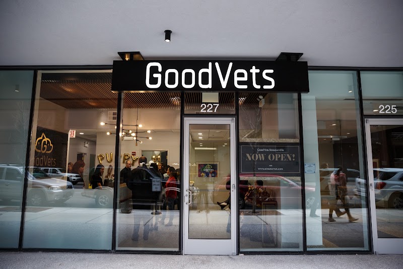 GoodVets Streeterville