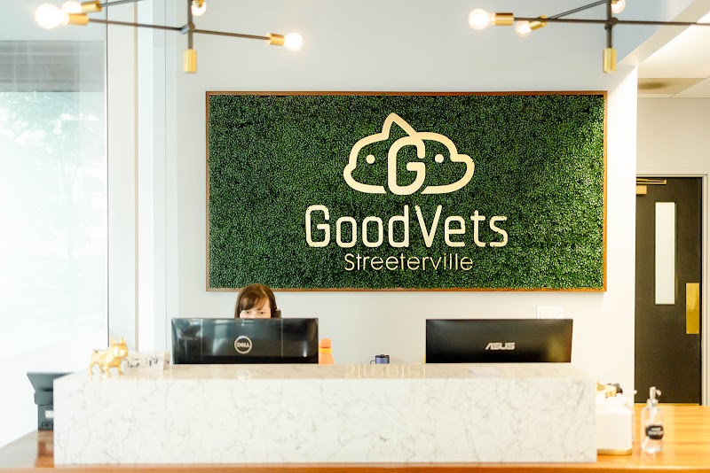 GoodVets Streeterville