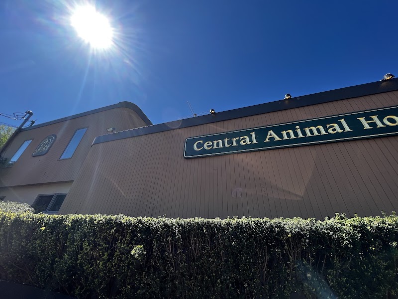 Central Animal Hospital