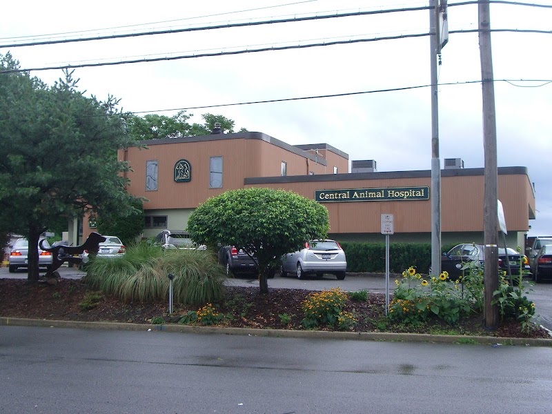Central Animal Hospital