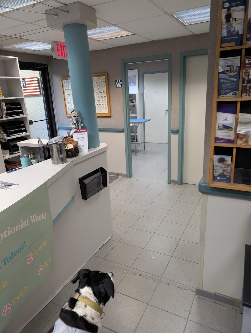 Central Animal Hospital