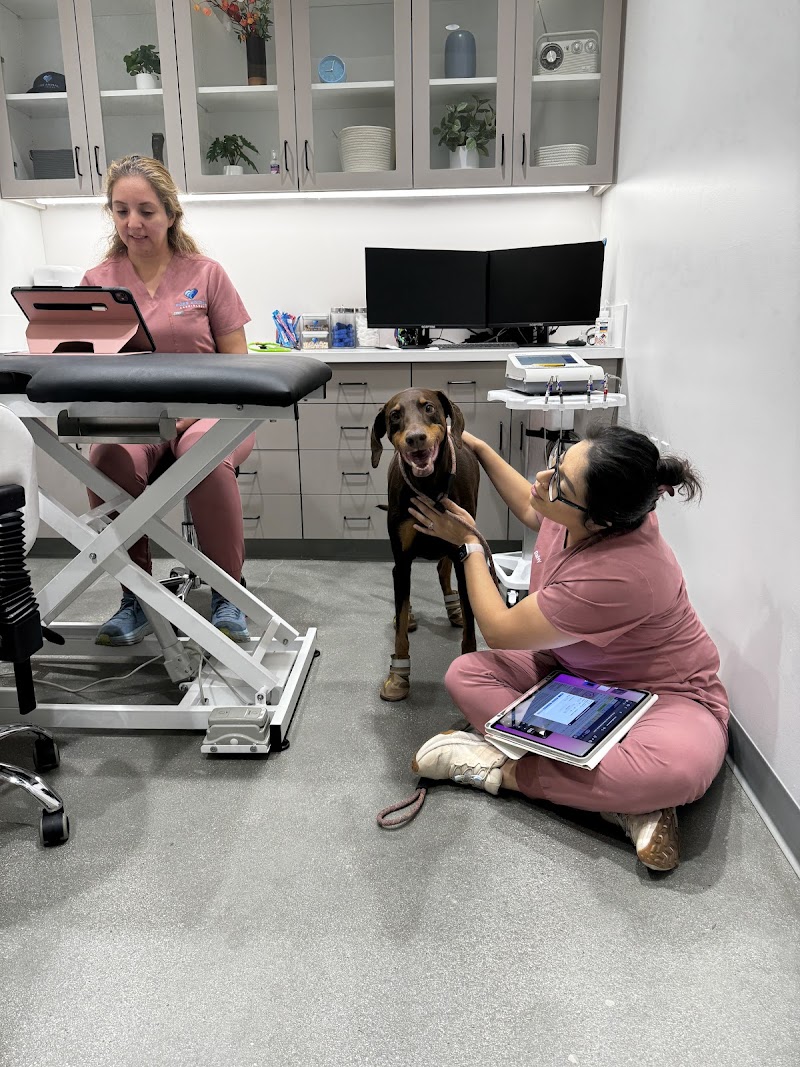 Pure Animal Cardiology