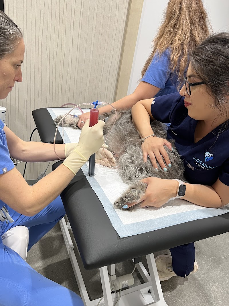 Pure Animal Cardiology