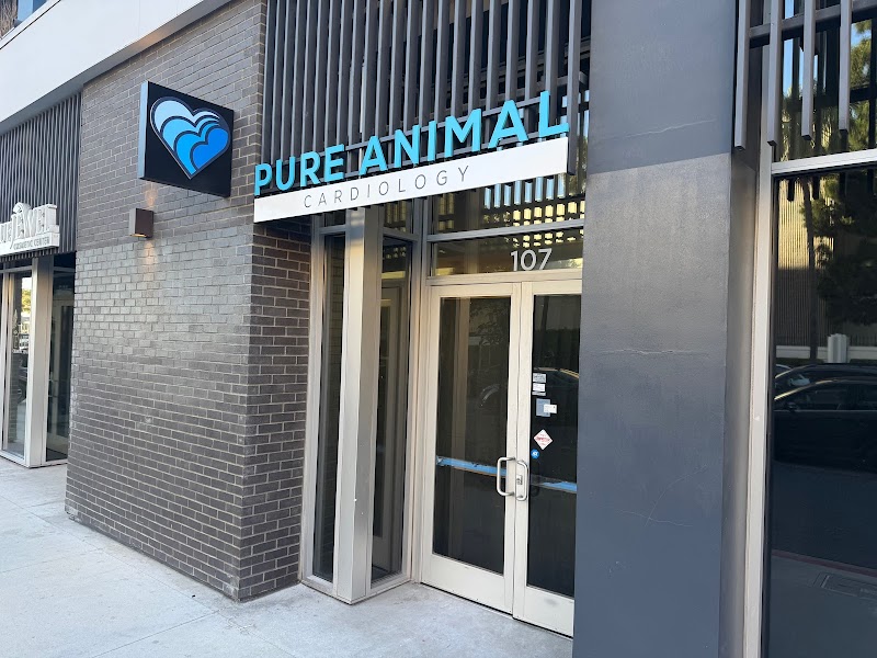 Pure Animal Cardiology - Los Angeles