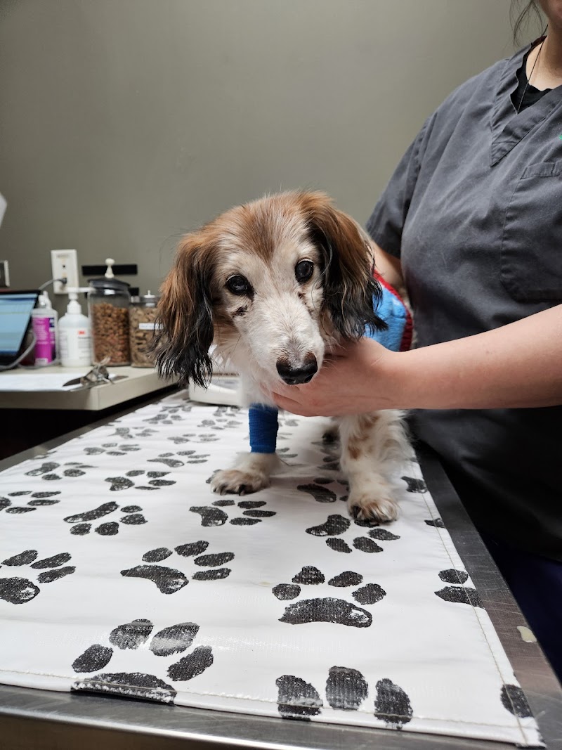 Metropolitan Veterinary Center
