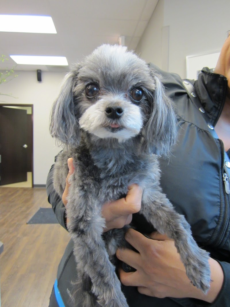Metropolitan Veterinary Center