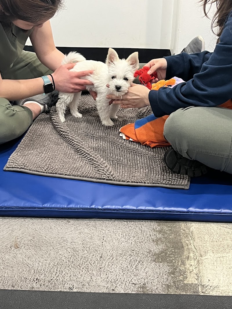 Beach Animal Rehabilitation Center - Rolling Hills