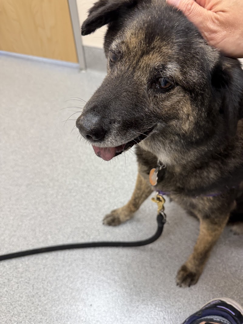Marin City Animal Hospital