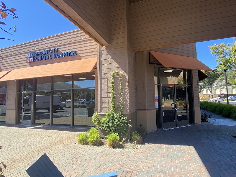 Marin City Animal Hospital