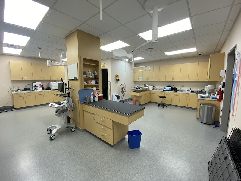 Marin City Animal Hospital