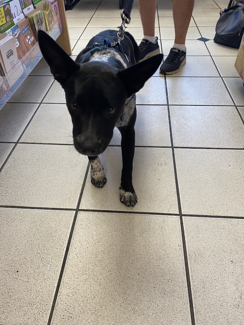 El Cajon Valley Veterinary Hospital