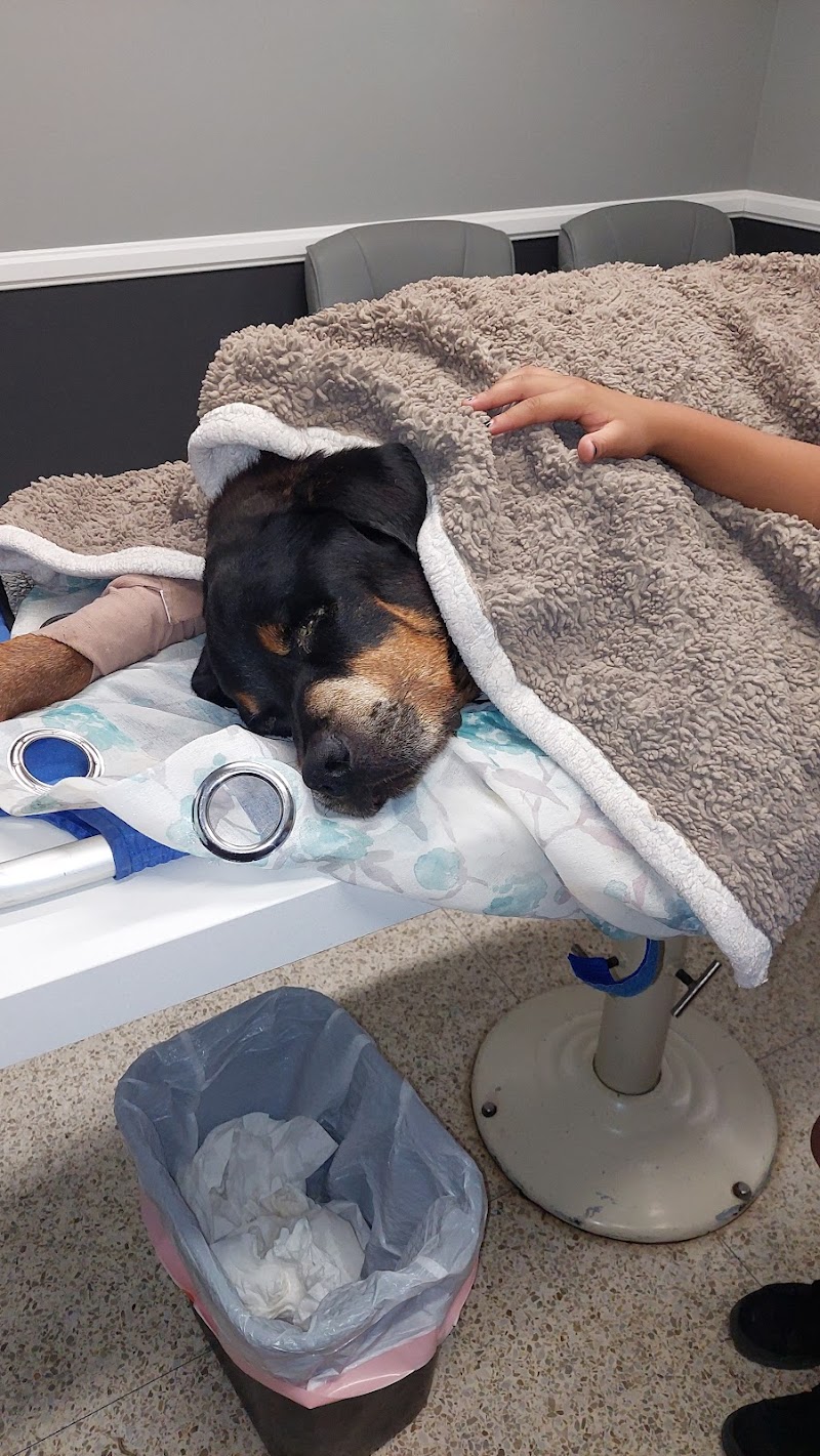 El Cajon Valley Veterinary Hospital