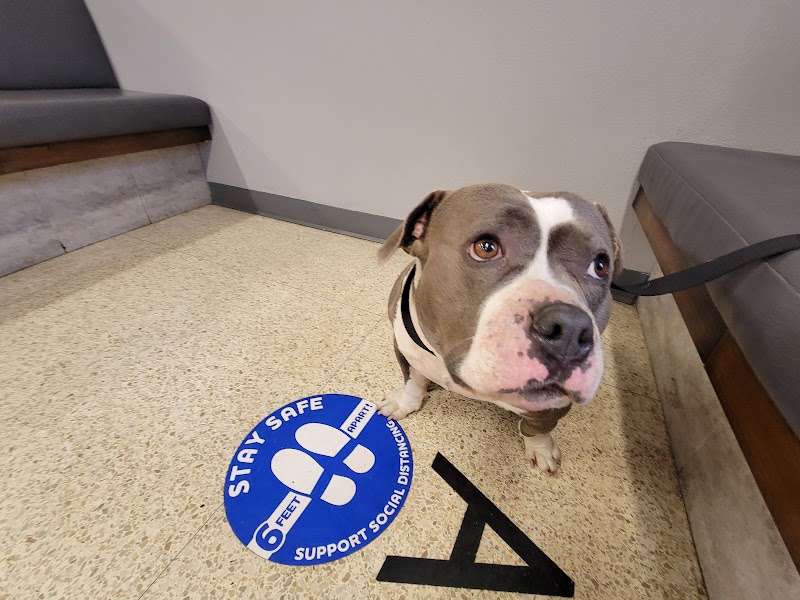El Cajon Valley Veterinary Hospital