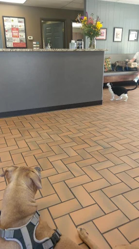Alameda Veterinary Clinic